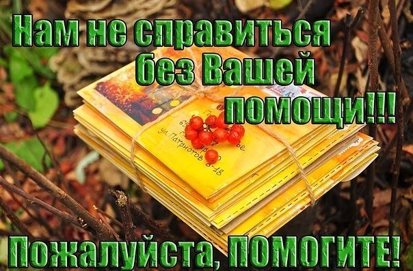 Помоги закрыть. Помогите закрыть сбор картинки. Помогите пожалуйста. Сбор продолжается. Помогите пожалуйста помогите.